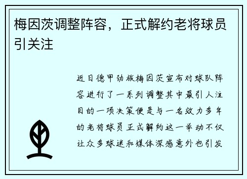 梅因茨调整阵容，正式解约老将球员引关注